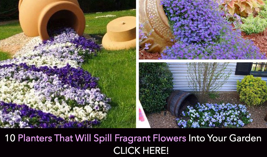 27 de idei de gradina cu gradina super cool