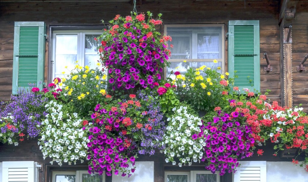 Idei pentru a transforma balconul intr-o livada frumoasa 4