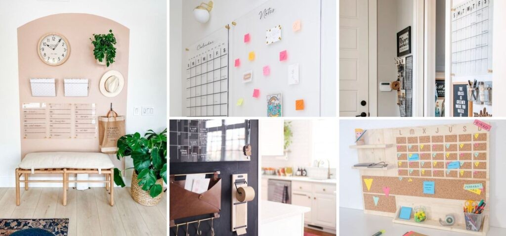 organizarea programului