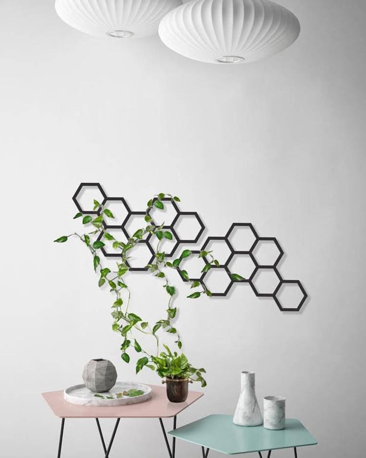 Un spalier pentru plante cataratoare