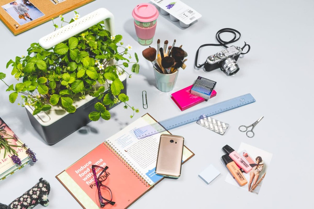 gradina de legume interioara cu ierburi aromatice