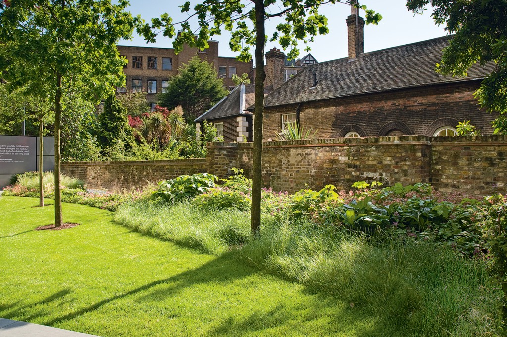 pajiste de padure cresc sub un copac in gradina urbana