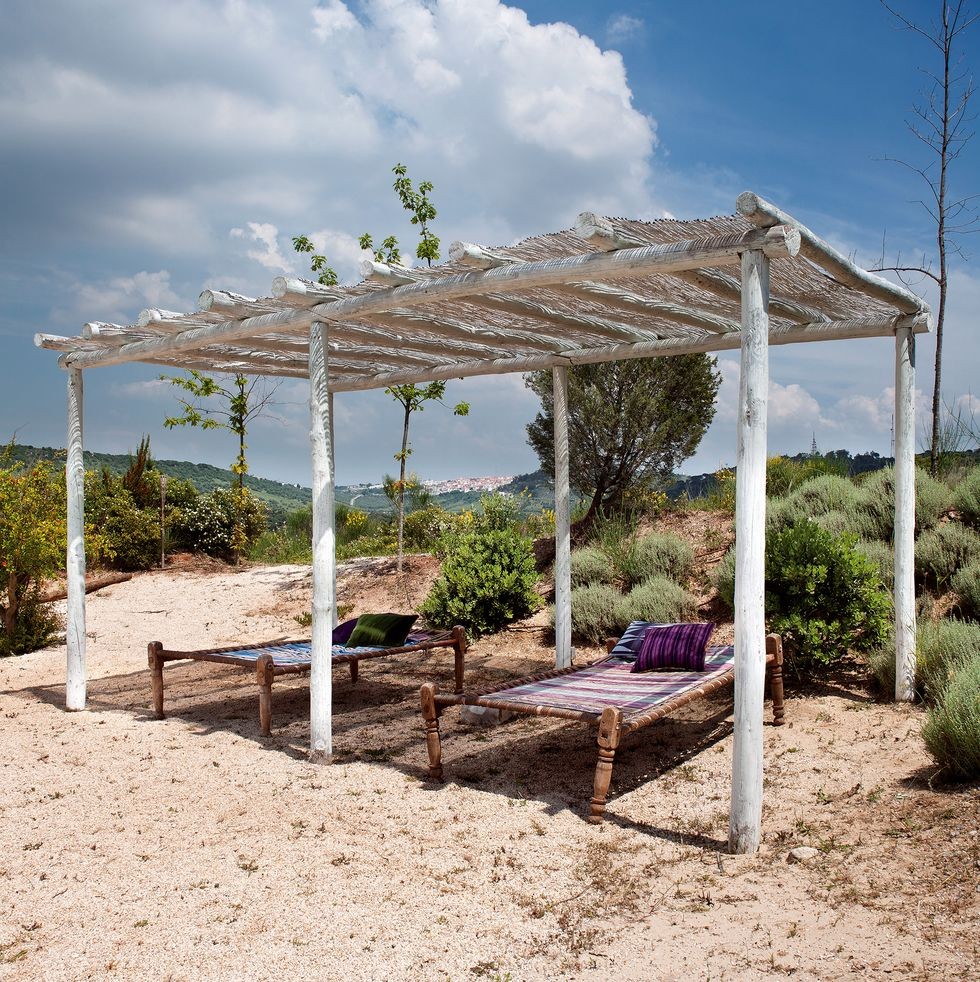 idei pentru a crea umbra in afara tuturor, pergole, stuf