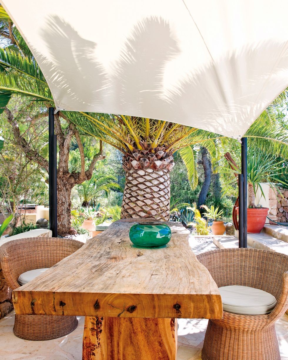 idei pentru a crea umbra in afara tuturor, pergole, stuf