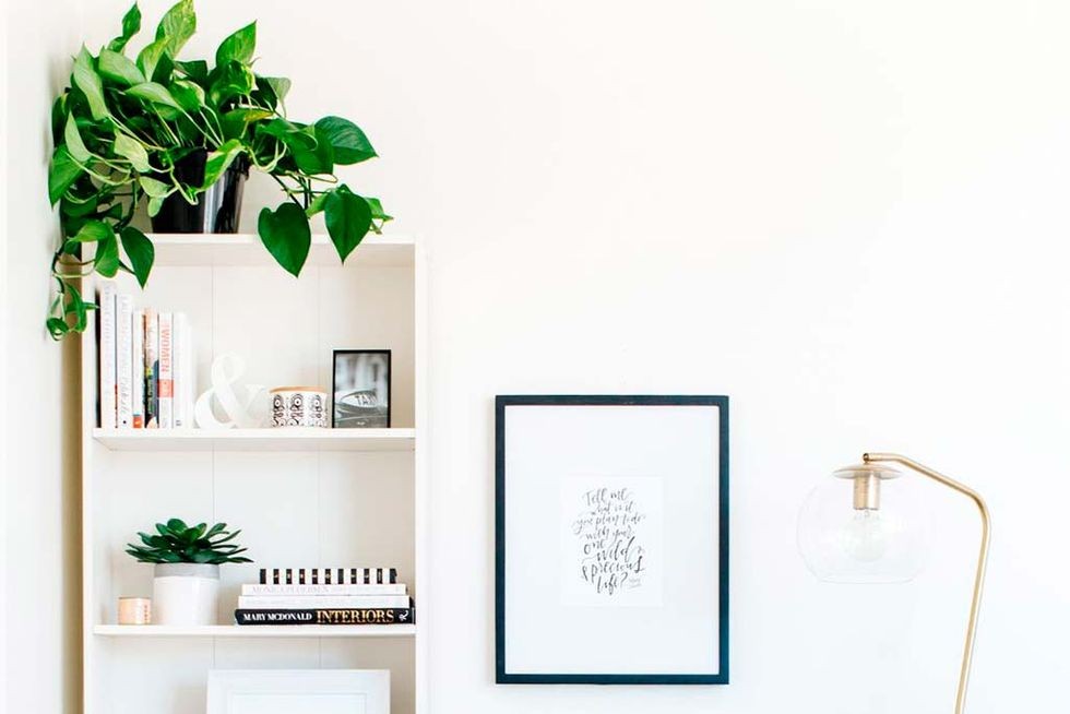 Mobilier, Camera, Sufragerie, Verde, Design interior, Canapea, Perete, Acasa, canapea studio, Frunza,