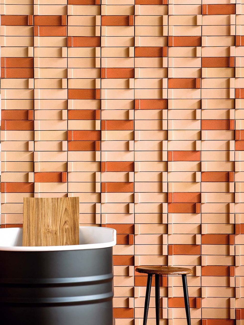 captuseala geometrica