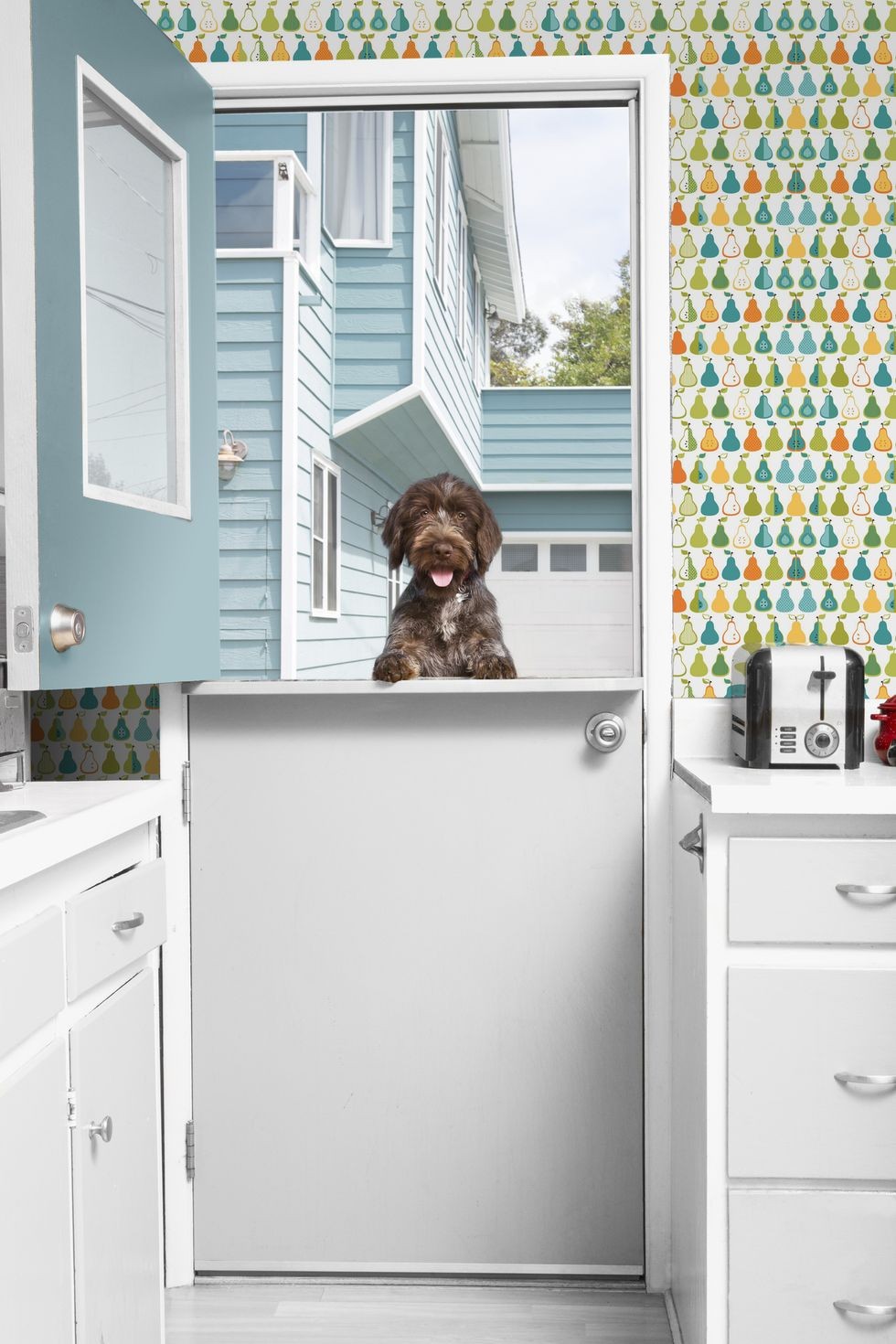 tapet de bucatarie indraznet colorat