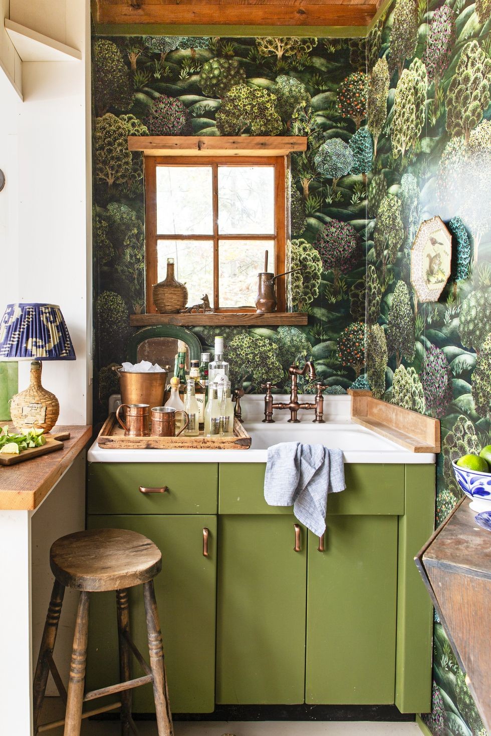 1953 casuta cu acoperis de tabla apartinand lui Sean Whyte si Amy Whyte muntii Blue Ridge din Virginia