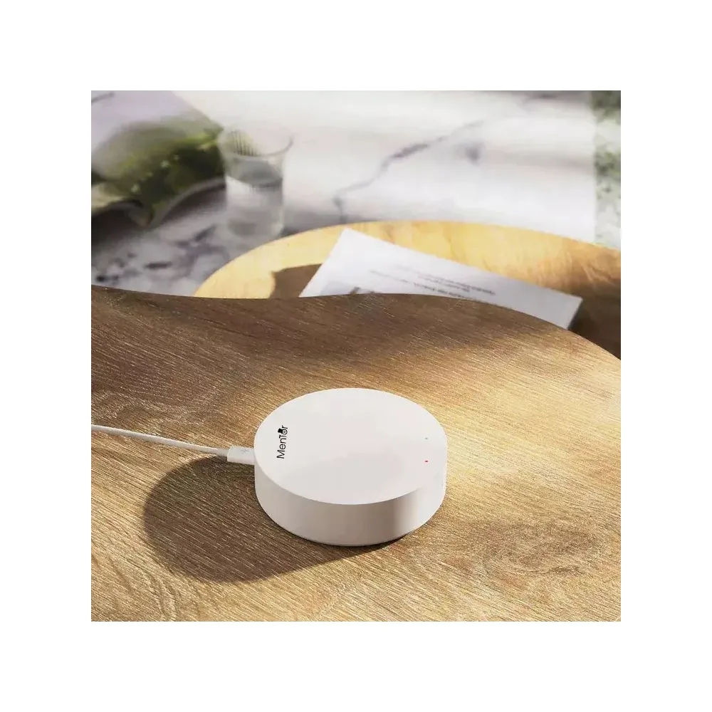 kit-termostat-calorifer-cu-control-central-termic-mentor-ktw211-smart-wifi-rf-programabil-12.jpg